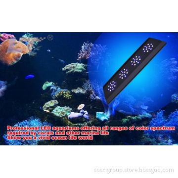 RoHS/ CE/CCC Four-Season Simulate Ultra-Thin LED Aquarium Light with Intelligent Controller